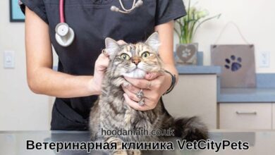 Ветеринарная клиника VetCityPets