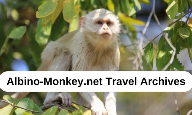 Albino-Monkey.net Travel Archives