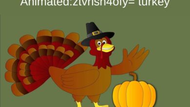 Animatedztvrlsh4ofy= turkey