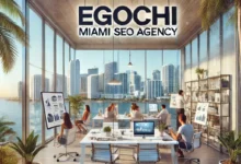 Egochi Miami SEO Agency