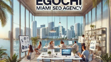 Egochi Miami SEO Agency