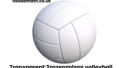 Transparent:3znzepzplza= volleyball