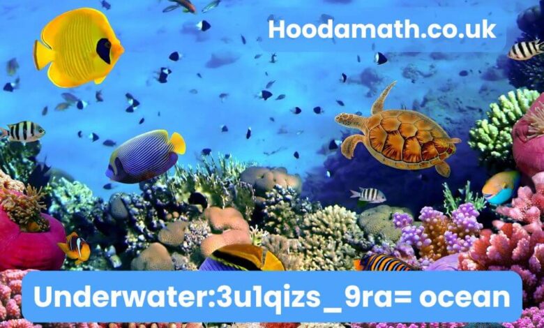 Underwater:3u1qizs_9ra= Ocean