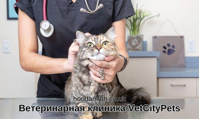 Ветеринарная клиника VetCityPets