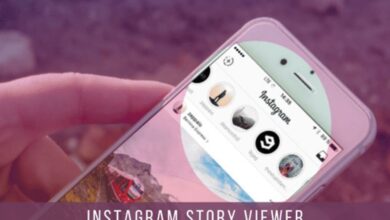 Instagram Story Viewer